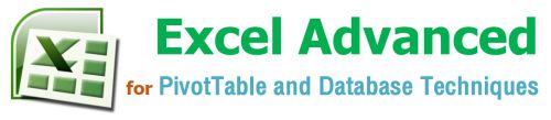 Excel Advanced for PivotTable and Database Techniques