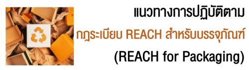 ǷҧûԺѵԵº REACH Ѻèѳ (REACH for Packaging)