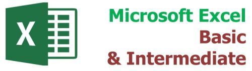 Microsoft Excel Basic & Intermediate
